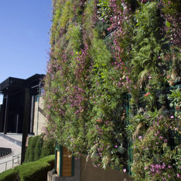 Fiddler's Green Amphitheatre and the panoramic living wall