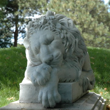 Resting lions by Giovanni Antoniazzi Leoni Sdriato