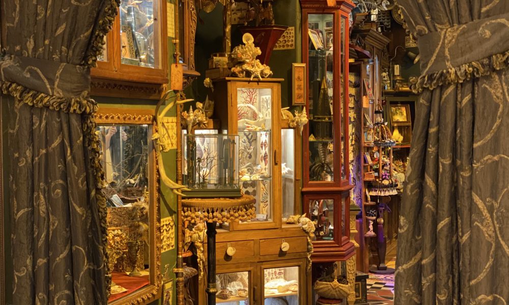 peering through curtains of the Cabinet of Curiosities