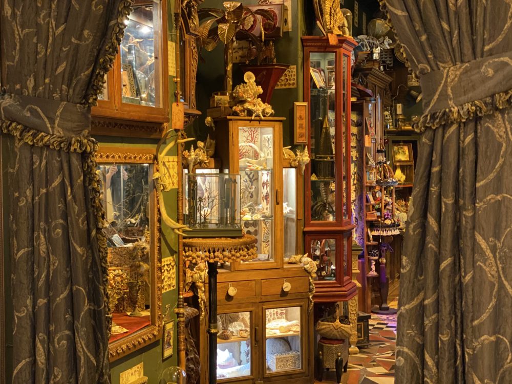 Cabinet of Curiosities