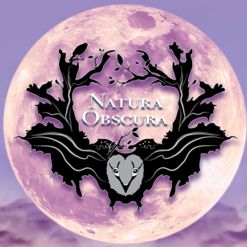 poster of the Natura Obscura advertisement