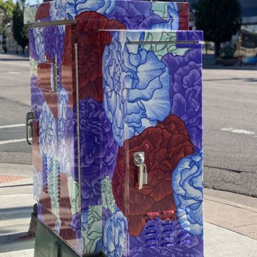 side view of red and purple carnation traffic cabinet by Cris Woessner