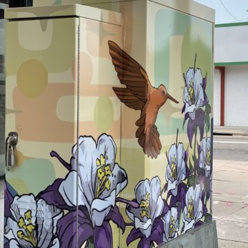 humming bird on a traffic cabinet by Brad Vieira