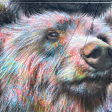 Colorful mural of a realistic bear by AGPNT