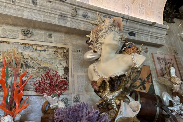 Cabinet of Curiosities and Impossibilities - MOA